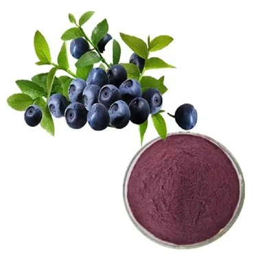 Ekstrakt borovnice u prahu