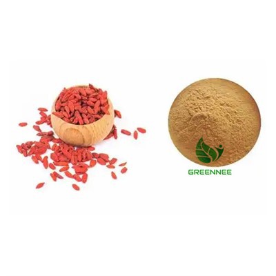 Ekstrakt voća Barbury Wolfberry Lycium Barbarum Polisaharidi 50%